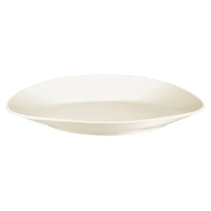 Esmeyer 6 X Seltmann Gourmetteller Flach Organic M5339/19 Cm, Form: Maxim, Dekor: 00003 15