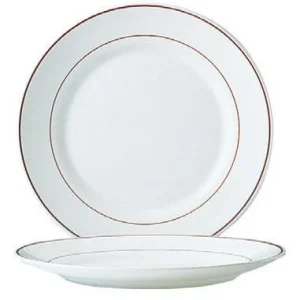 Esmeyer 6 X Speiseteller 25,8 Cm Form Restaurant Valerie ARCOPAL 15