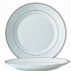 Esmeyer 6 X Speiseteller 23,5 Cm Form Restaurant Valerie ARCOPAL 13