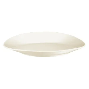 Esmeyer 6 X Seltmann Gourmetteller Flach Organic M5339/19 Cm, Form: Maxim, Dekor: 00003 11