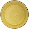 Churchill 12 X Teller Flach Coup 28,8cm STONECAST Mustard Seed Yellow 25